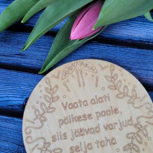 20250307_170141-scaled-1.jpg Motiveerivad tassialused